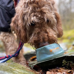 Hydrapak Rover Dog Bowl