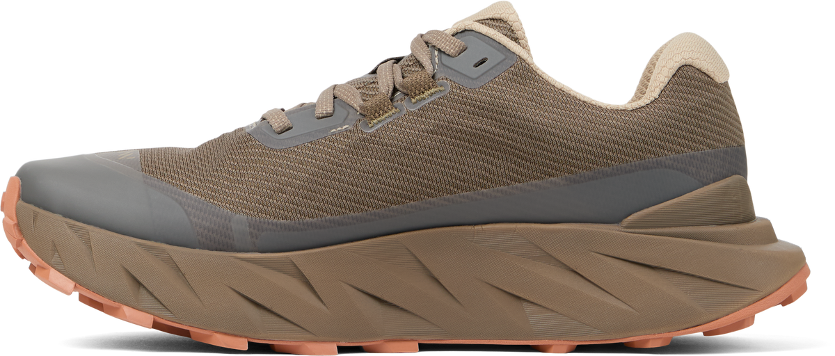 Cadí GTX Men Brown