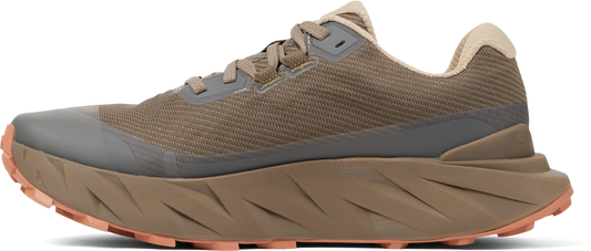 Cadí GTX Men Brown
