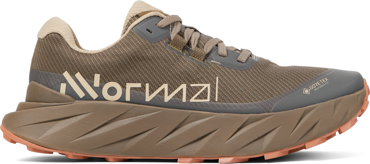 Cadí GTX Men Brown