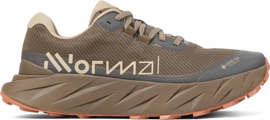 Cadí GTX Men Brown